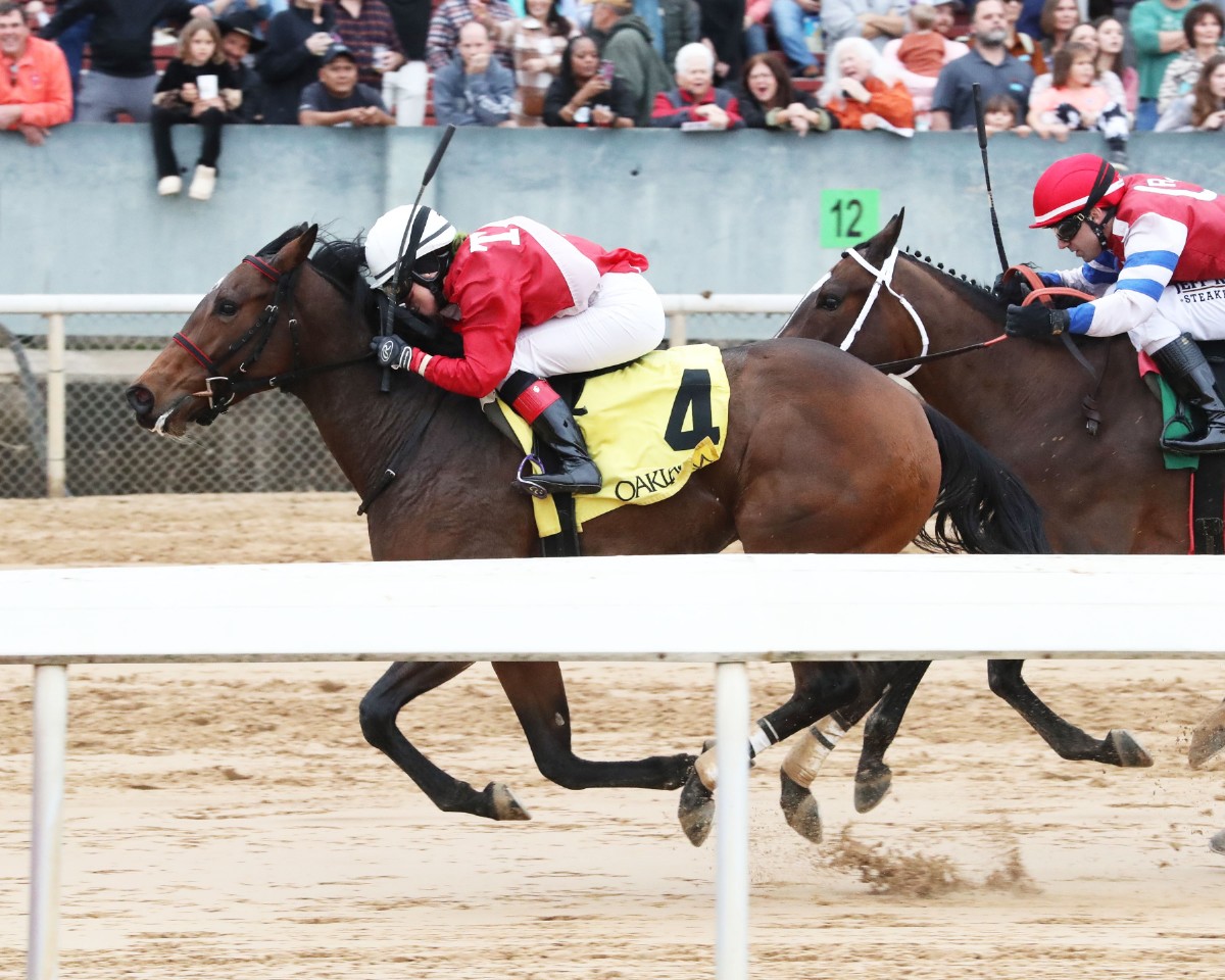 Chel-C Bailey Eyeing First Oaklawn Stakes Win Saturday