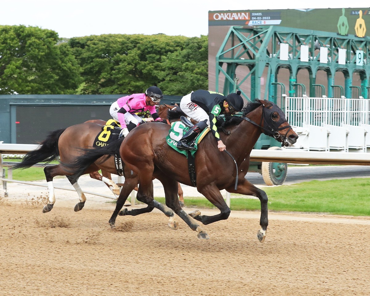 CALIBRATE PULLS THE UPSET IN SUNDAY’S TEMPERENCE HILL
