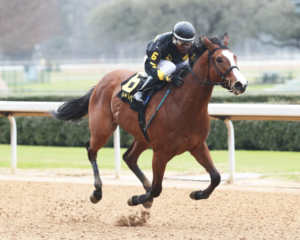 ARKANSAS-BRED 3-YEAR-OLDS TAKE CENTER STAGE SATURDAY