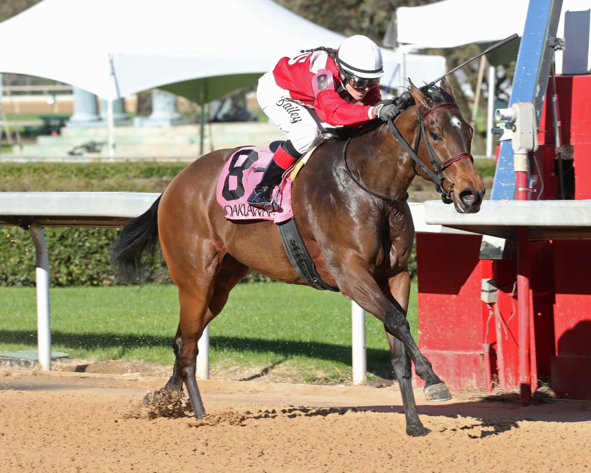 SUMMER SHOES TRIES TWO TURNS IN NATURAL STATE BREEDERS’ STAKES