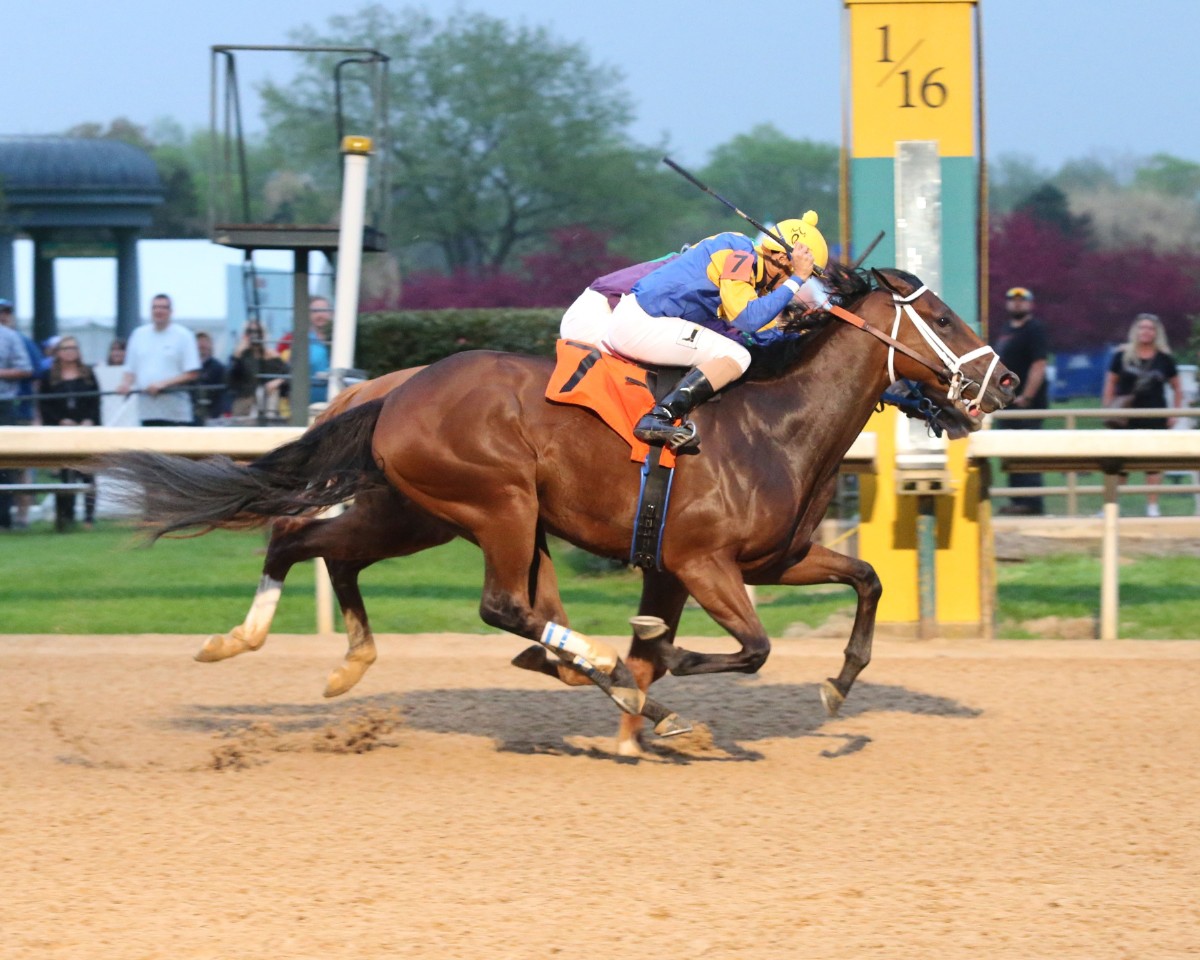 MILLIONAIRE MR. WIRELESS FAVORED IN FRIDAY’S LAKE OUACHITA