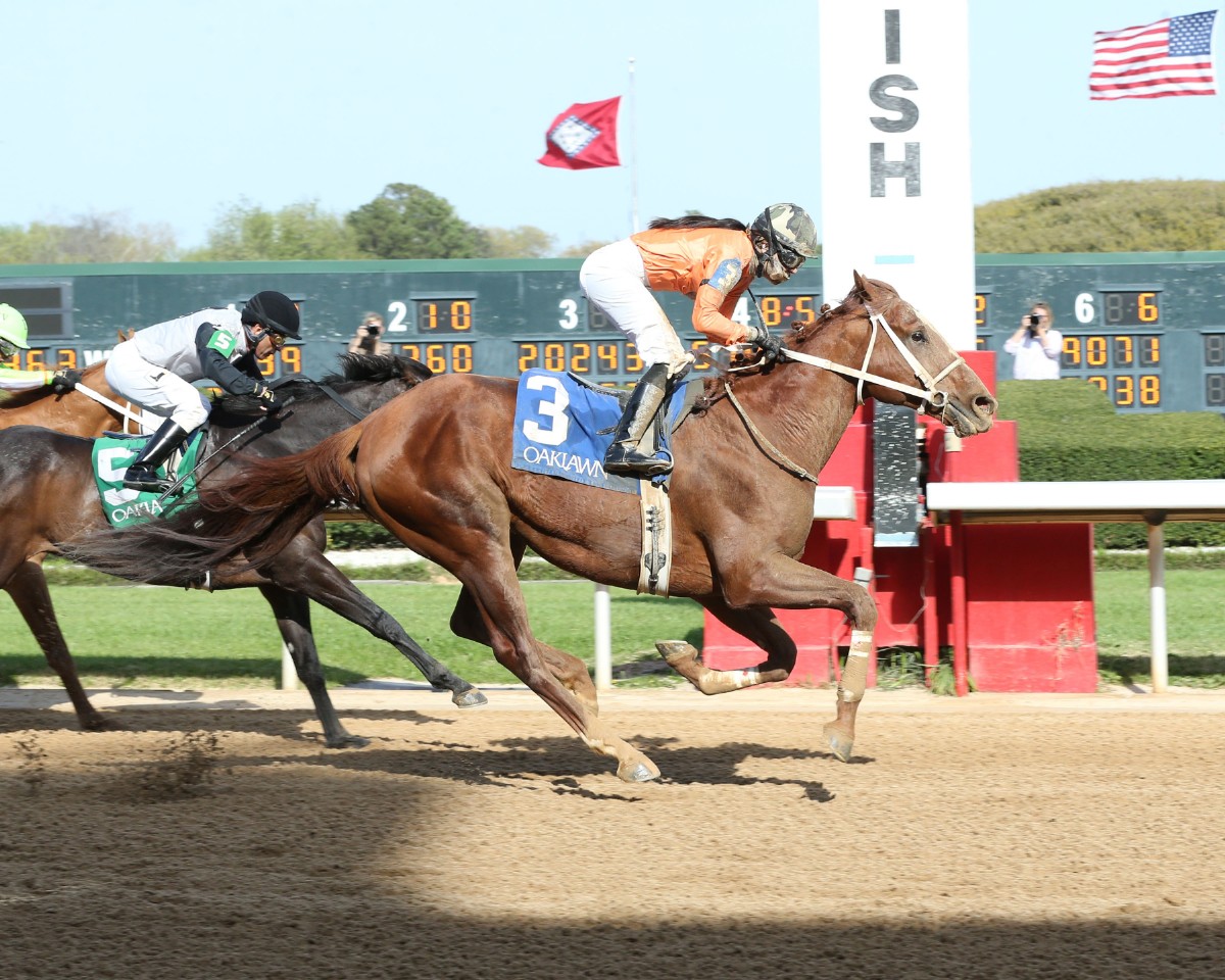 Bandit Point Gives Arkansas Breeders’ Championship Another Try