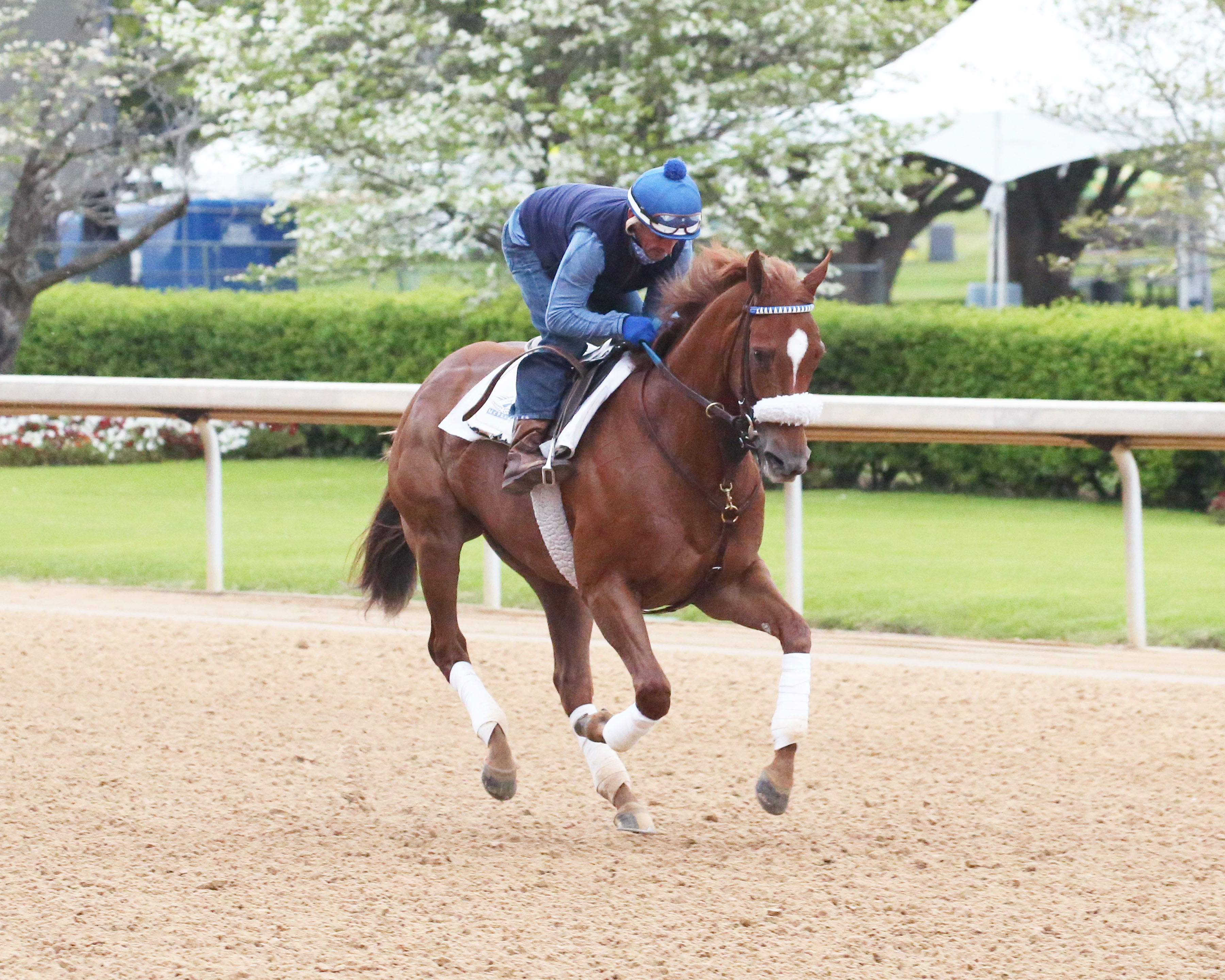 Swiss Skydiver to Run Lasix Free in Apple Blossom Oaklawn Racing