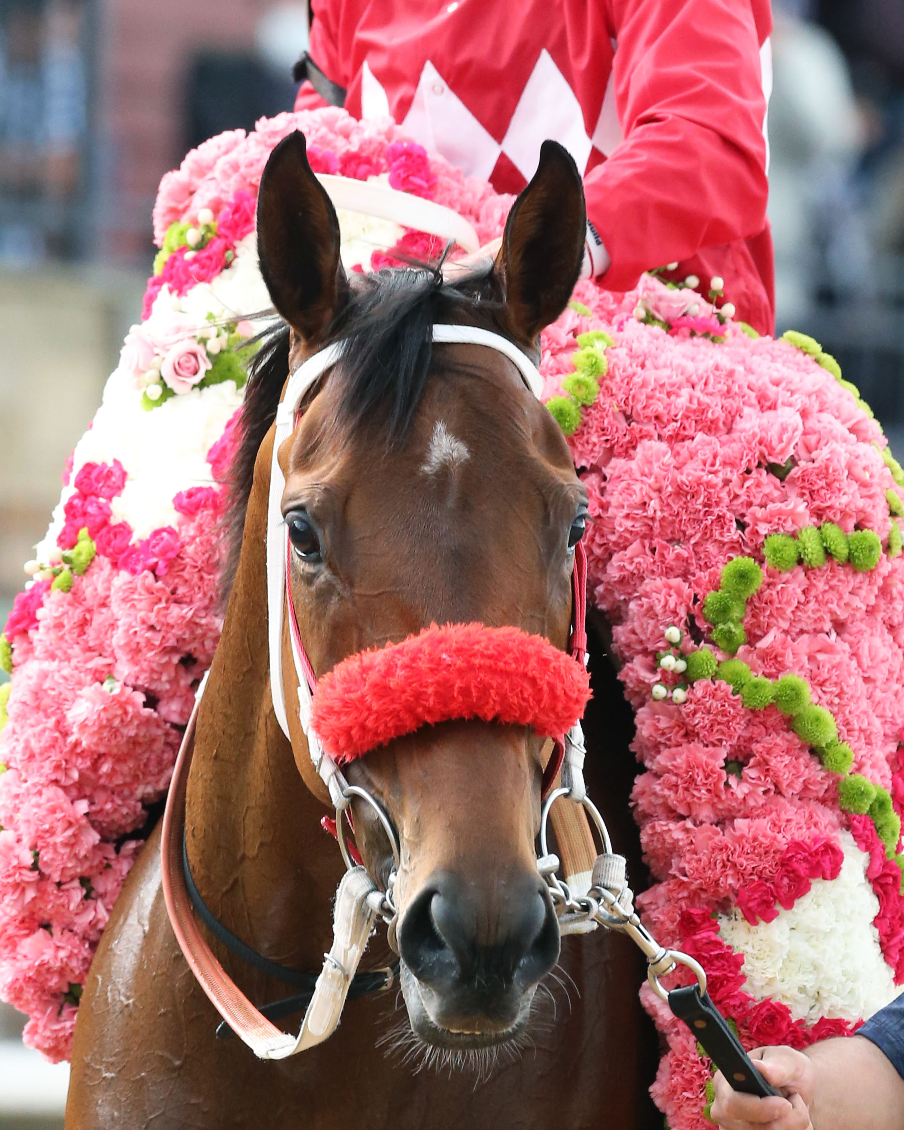 Letruska Exits Apple Blossom Victory in Good Shape Oaklawn Racing