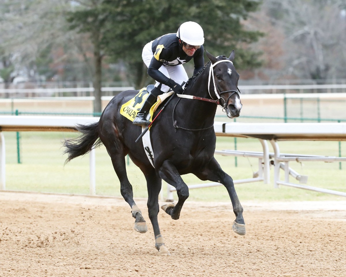 Oaklawn Barn Notes: MyRacehorse's Chasing Time Wins Big for Rosario and Asmussen