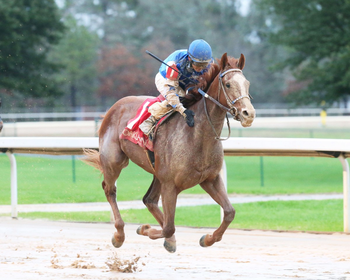 Oaklawn Barn Notes: Large Field Taking Shape for the $750,000 Southwest Stakes
