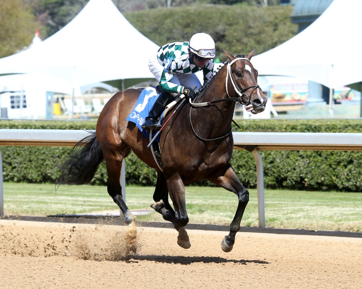ASMUSSEN LOOKS TO ADD TO OAKLAWN STAKES TALLY IN BACHELOR